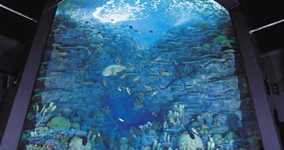 Asias largest aquarium in Rajasthan attracts people